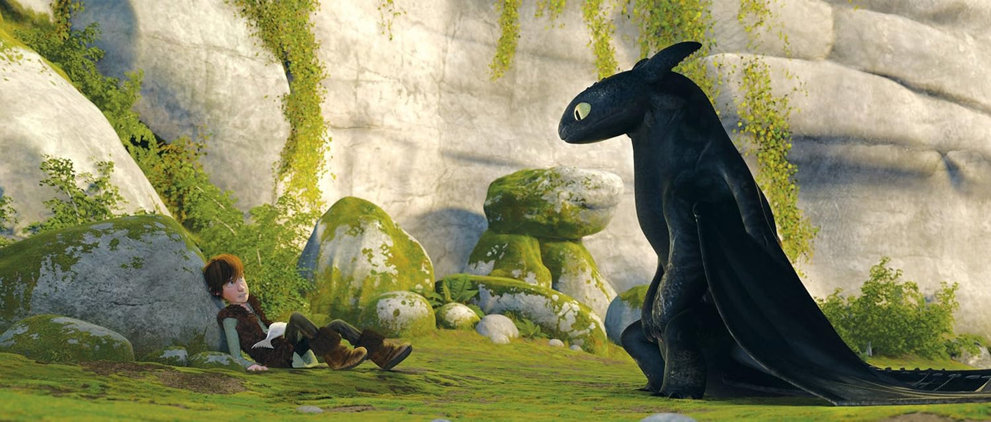 How to Train Your Dragon