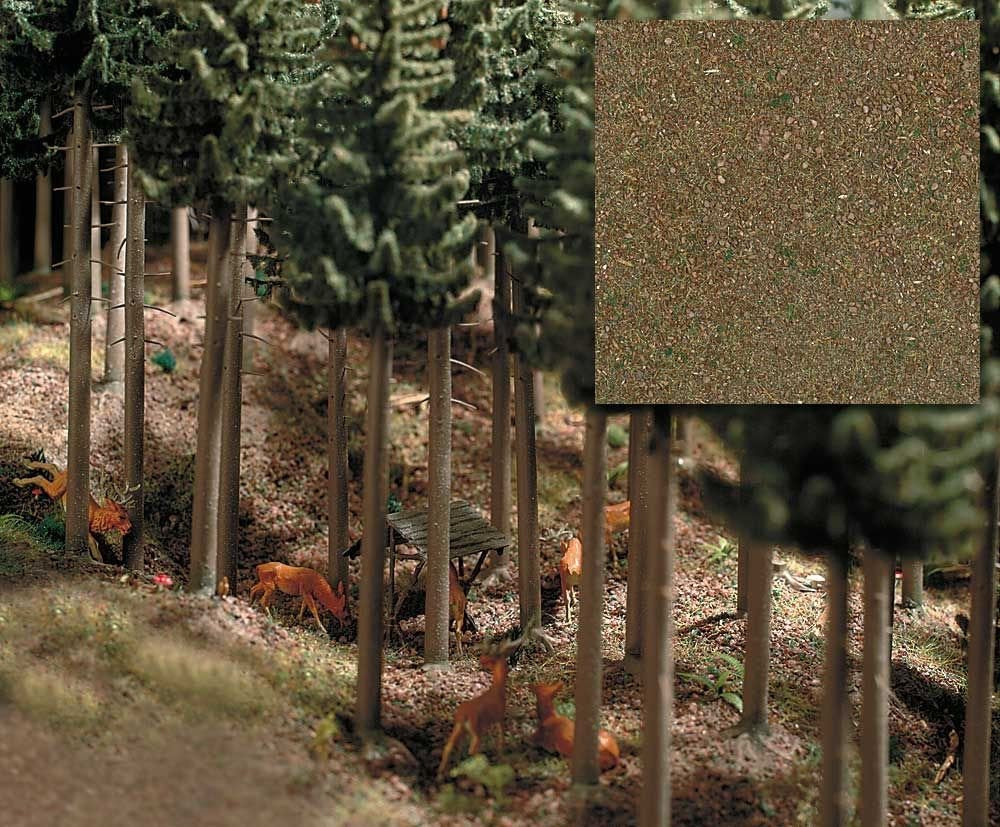 Conifrous Forest Ground