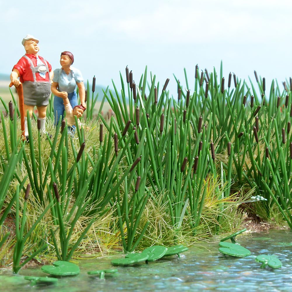 120 Bull rushes