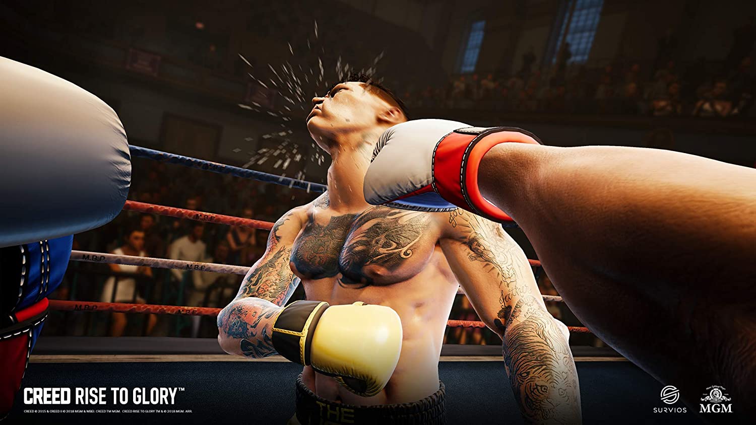 Creed: Rise to Glory (Doostaal Engels)(PS4