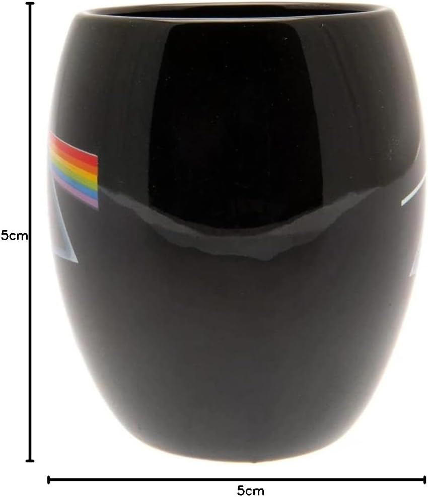 Pink Floyd (Dark Side of The Moon) Oval Mug