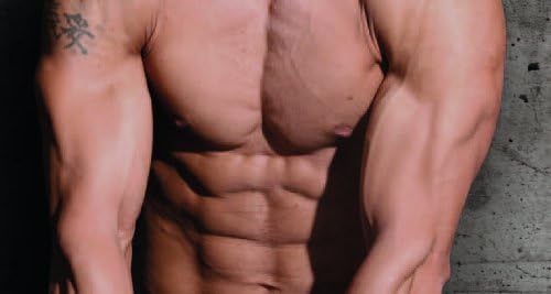 Muskelaufbau mit System - Übungen, Ernährung, Profitipps - Krafttraining im Natural Bodybuilding