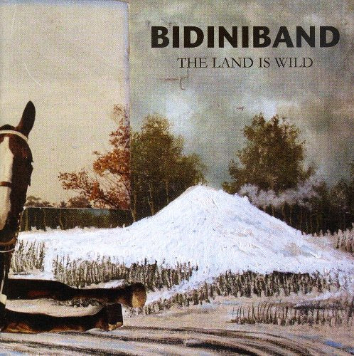 Bidiniband-Land Is Wild