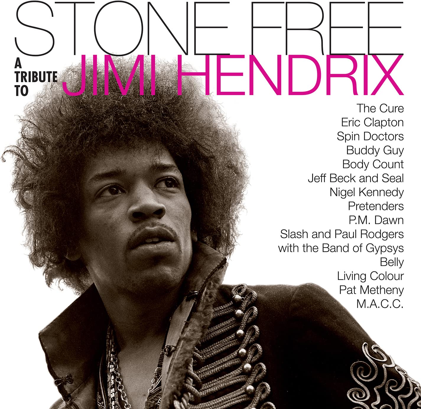 Stone Free:A Tribute To Jimi Hendrix - Stone Free:A Tribute To Jimi Hendrix (2 LP-Vinilo