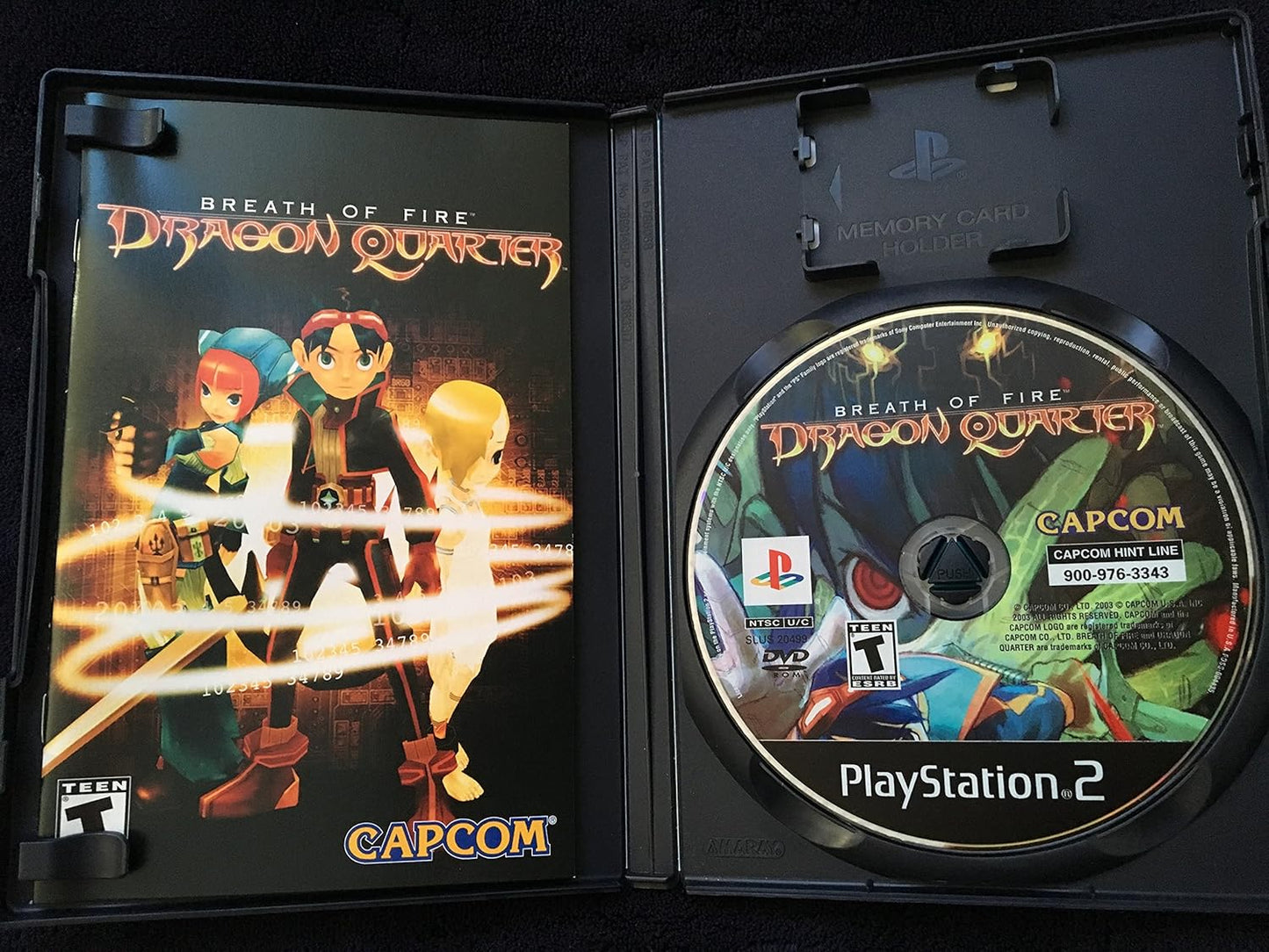 Breath of Fire: Dragon Quarter / Game
