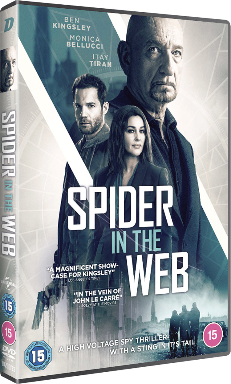 Spider in the Web