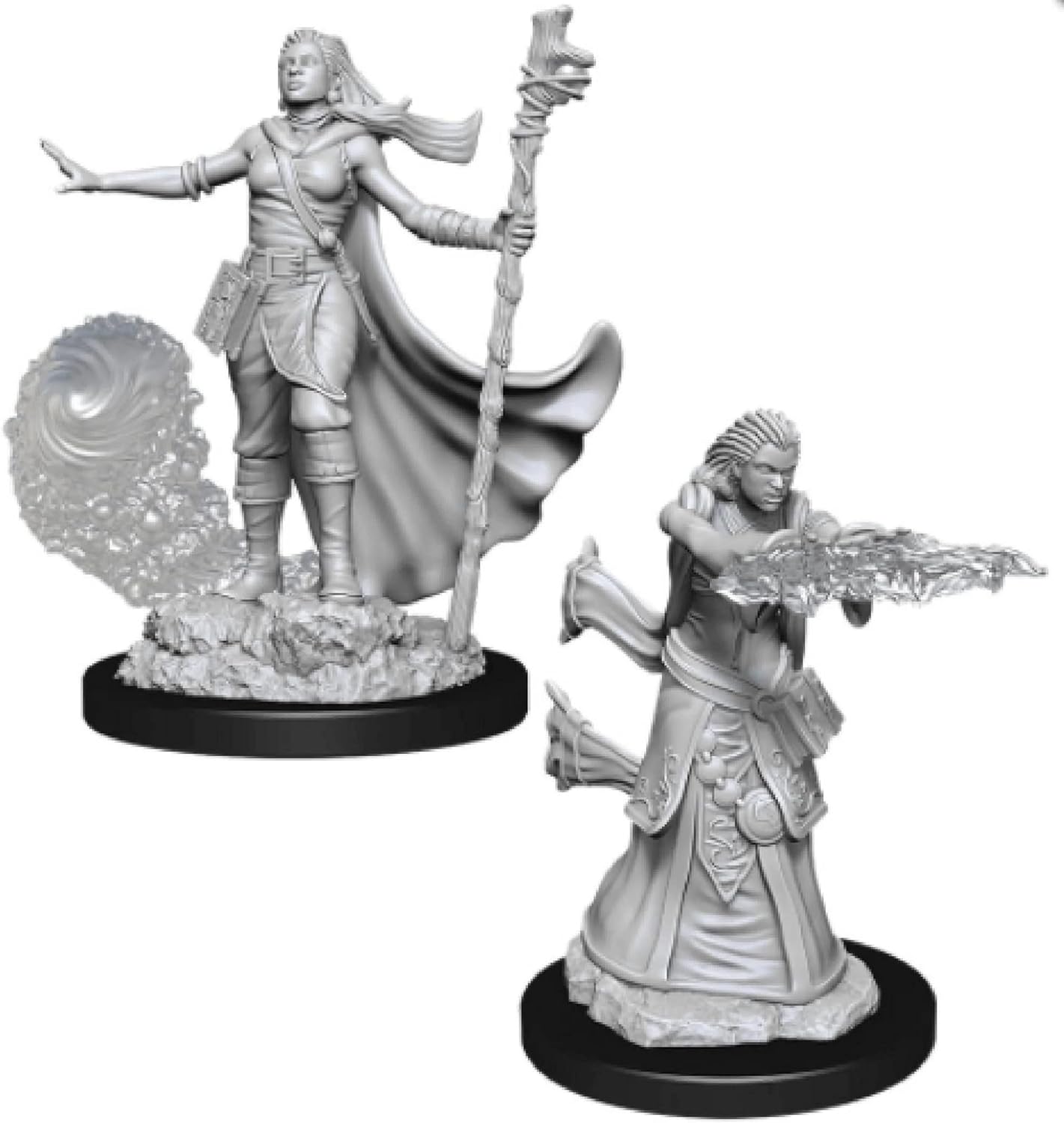 D&D Nolzur's Marvelous Miniatures - Male Human Paladin