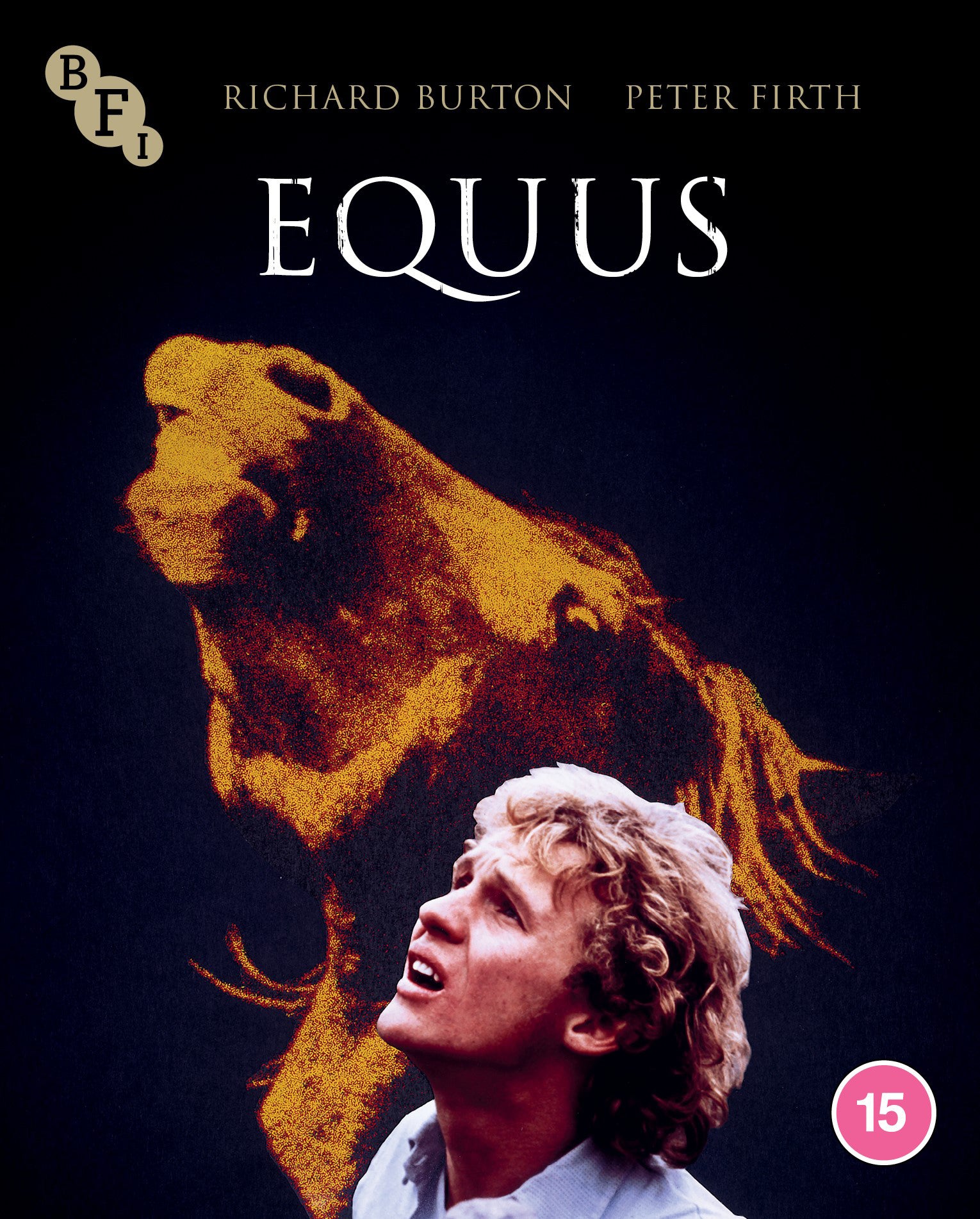 Equus