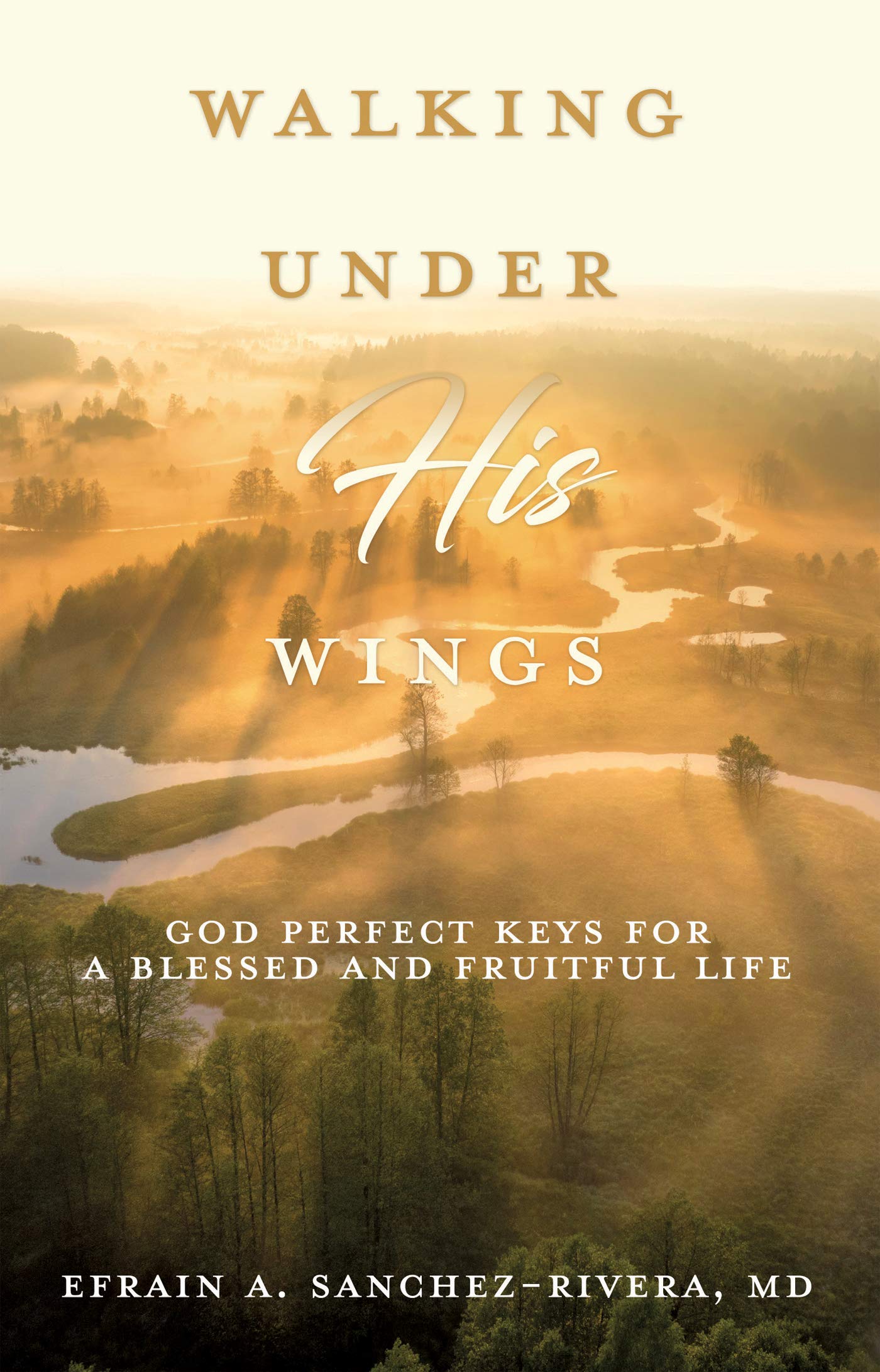 Walking Under His Wings