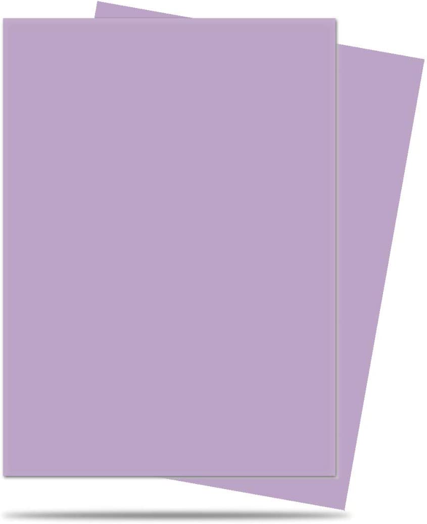Ultra Pro 15258 Protector
