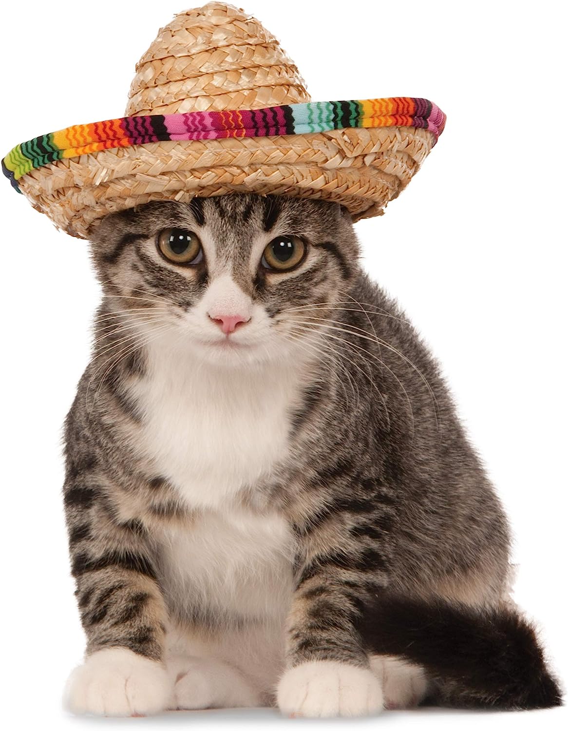 Rubie's Official Sombrero Pet Dog Costume