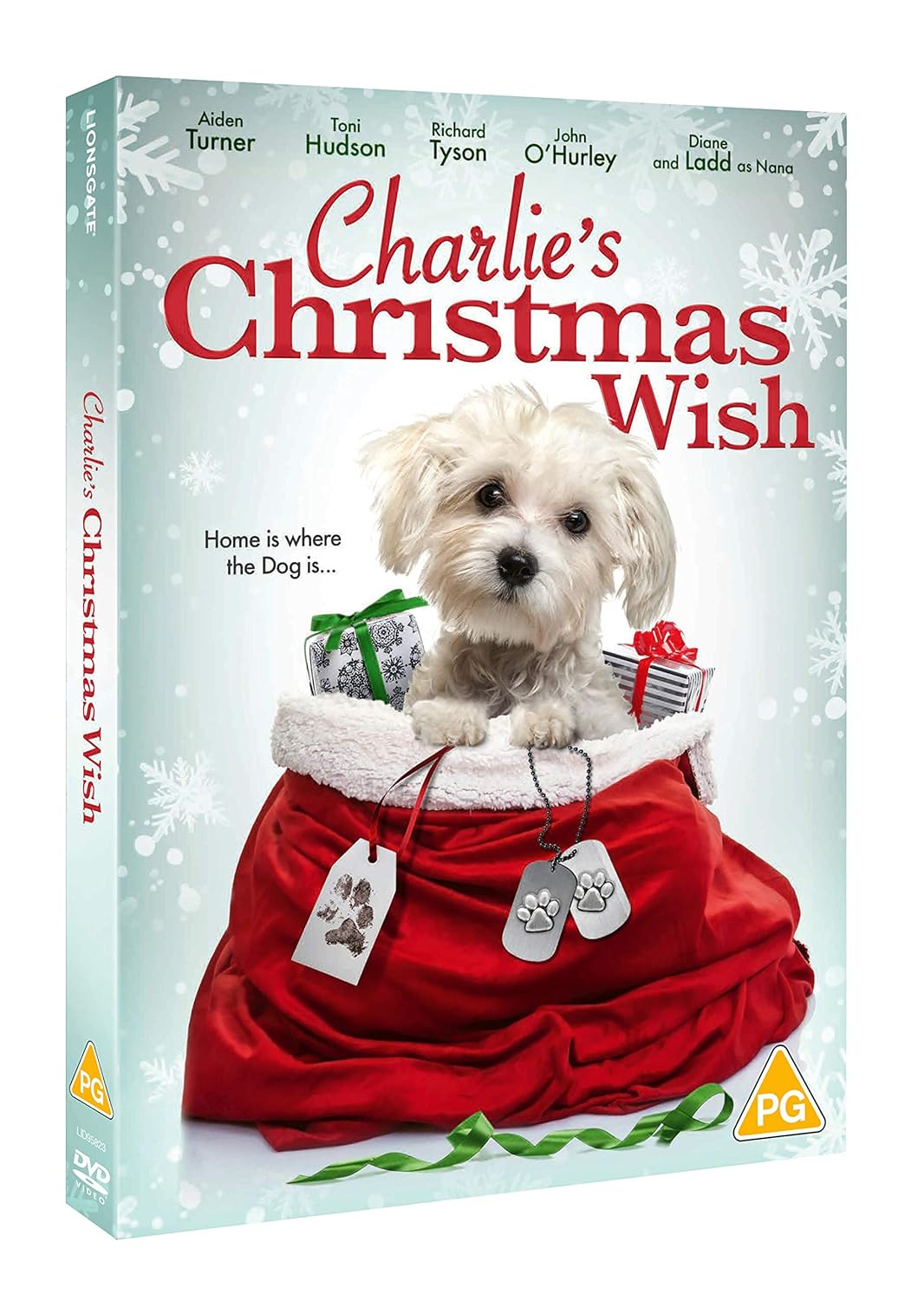 Charlie's Christmas Wish