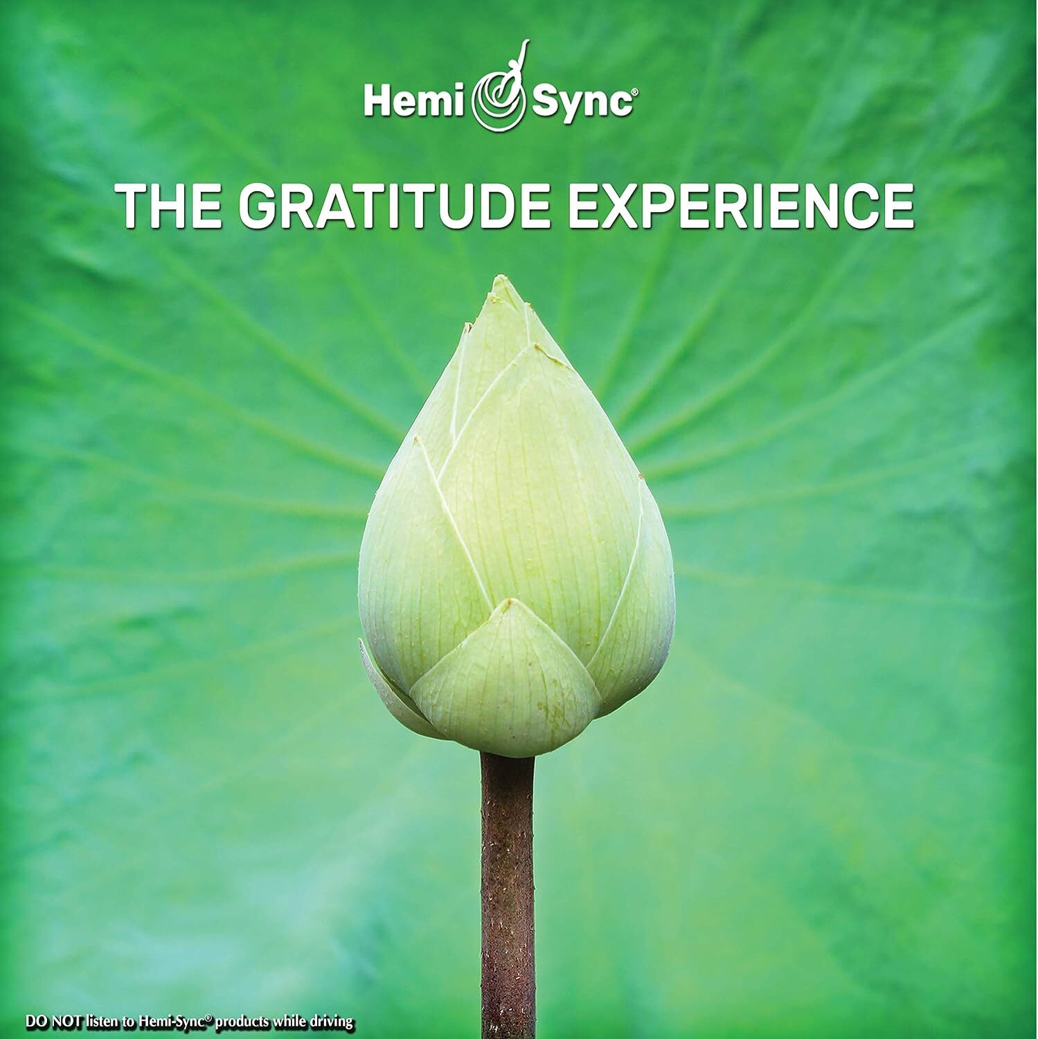 The gratitude experience