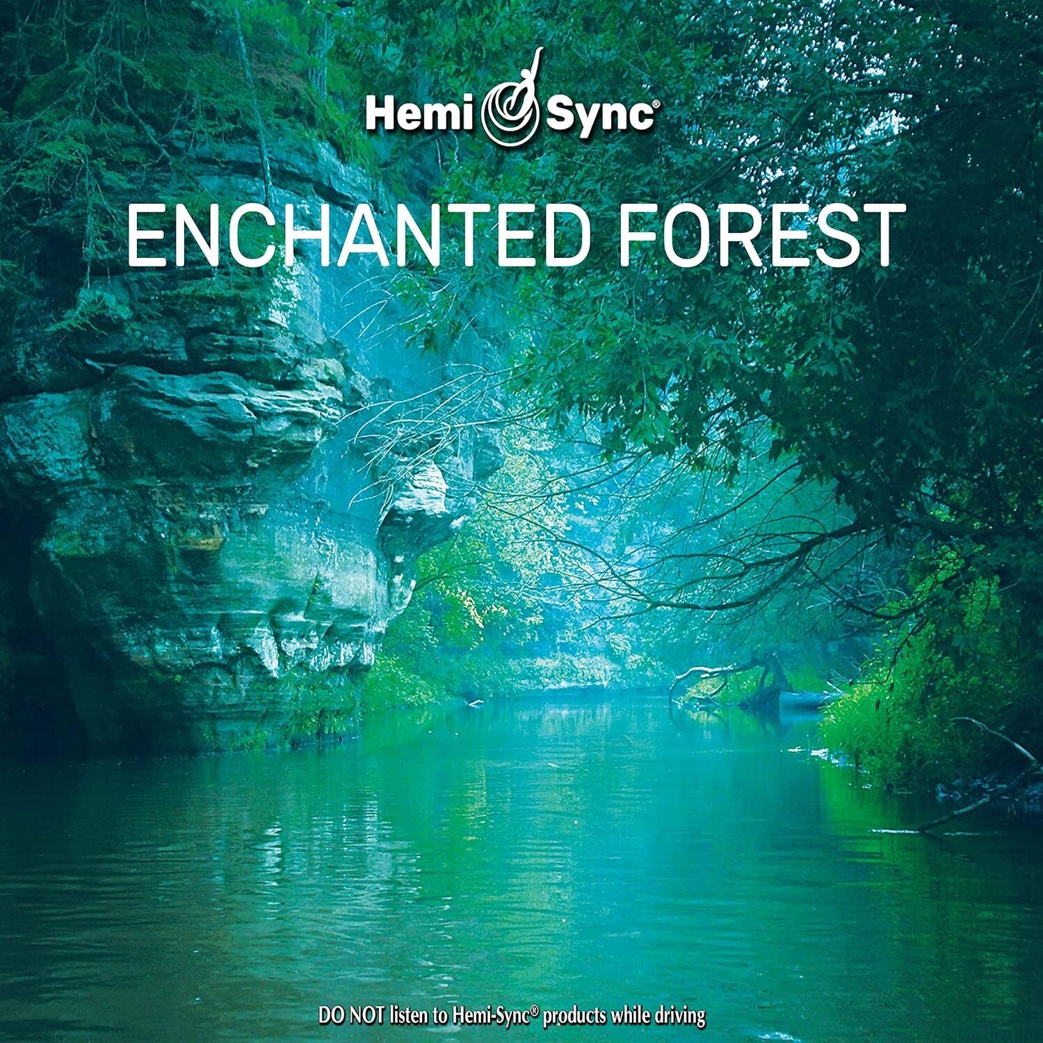 Enchanted Forest