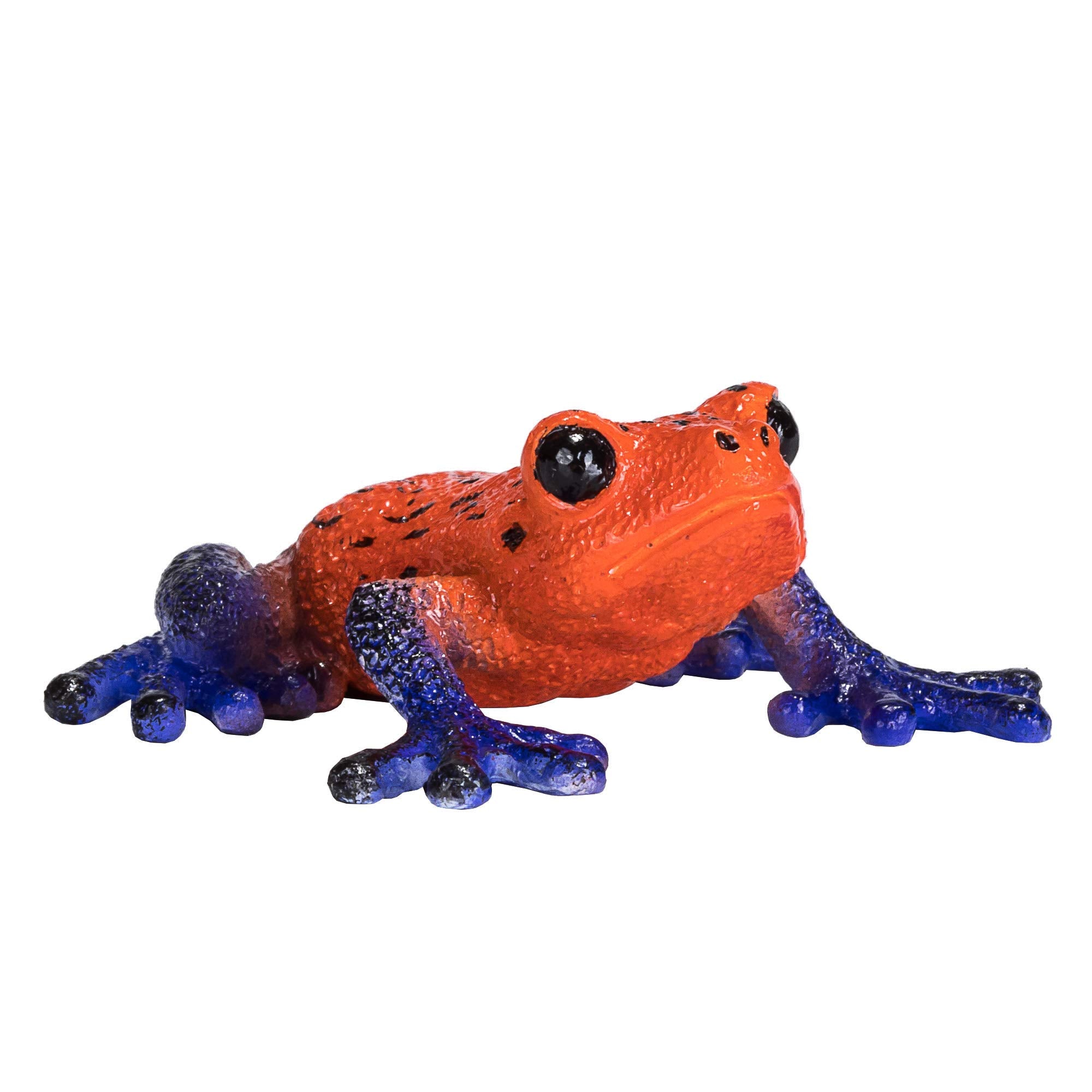 MOJO - Poison Dart Tree Frog | Hand-Painted Toy Figure | Wildlife Collection | True to Life & Highly Detailed | Designed in UK