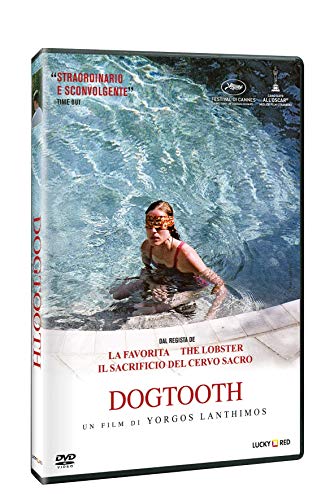 Dogtooth - (Italian Import)
