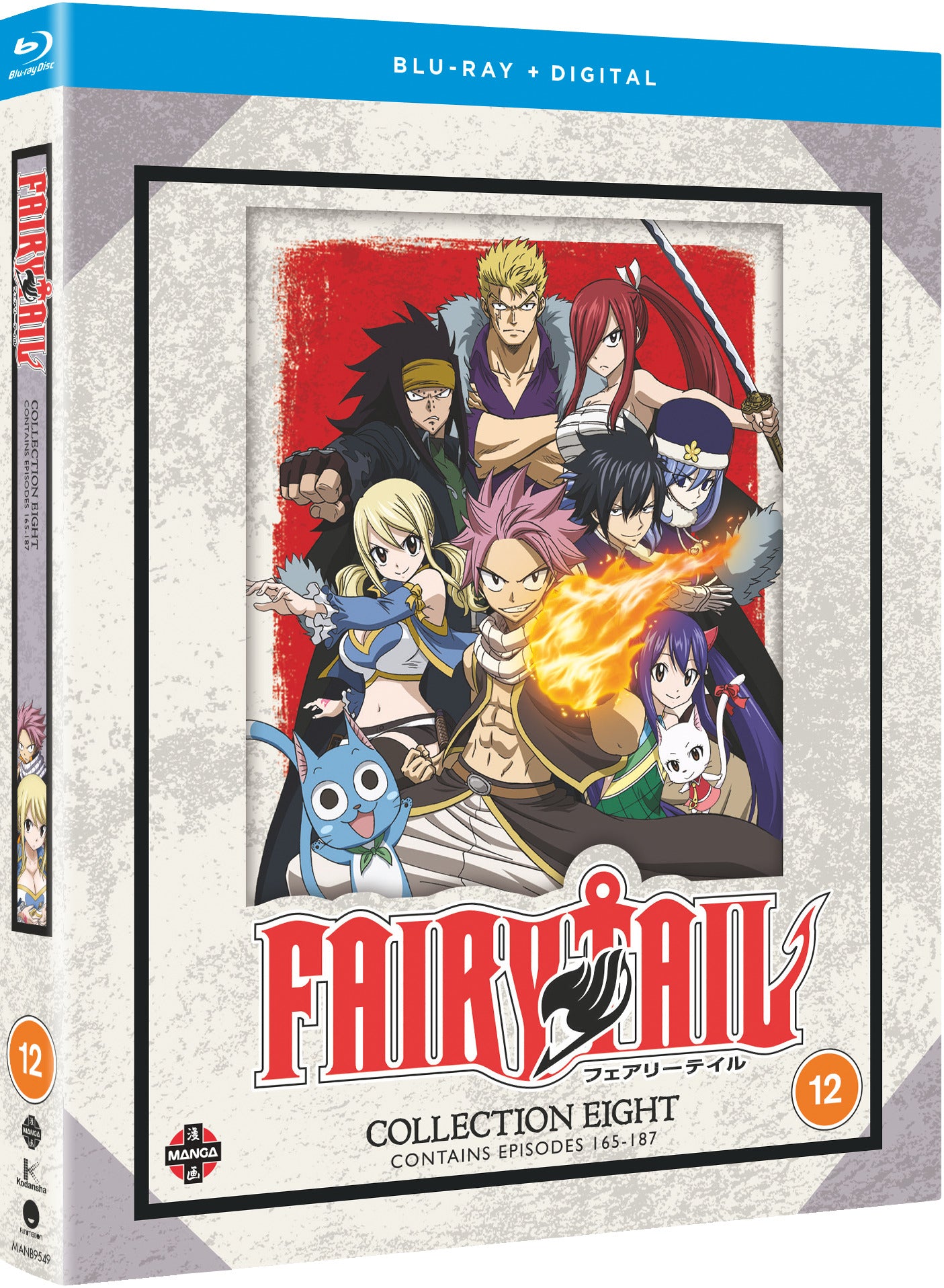 Fairy Tail: Collection 8