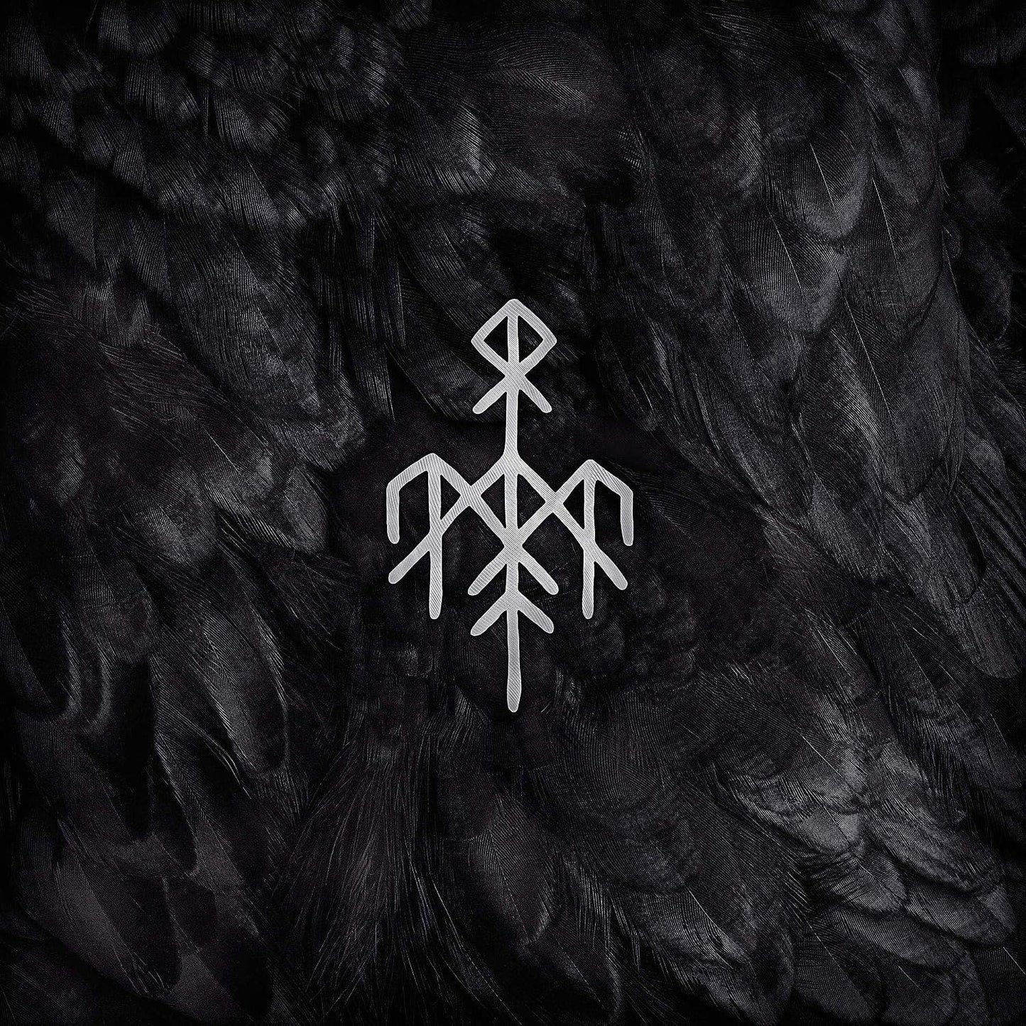 Kvitravn