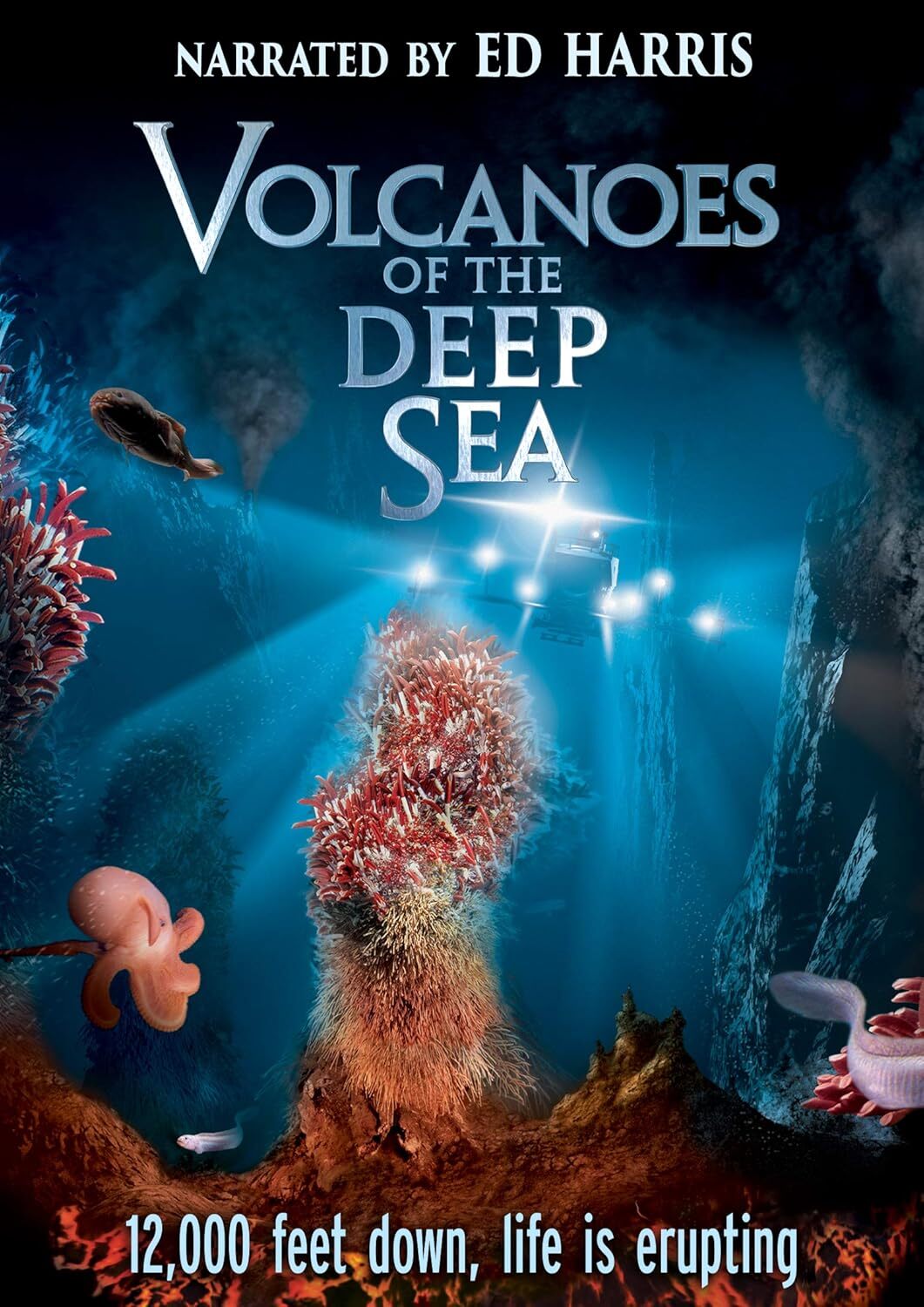 Volcanoes of the Deep Sea