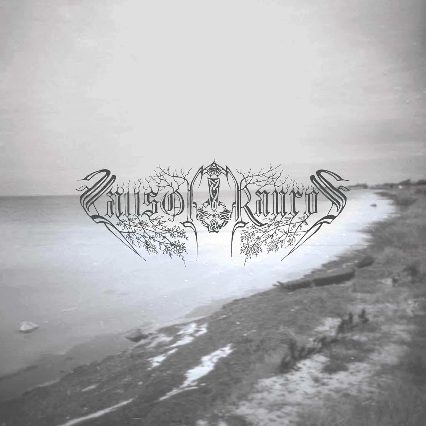 Believe in No Coming Shore