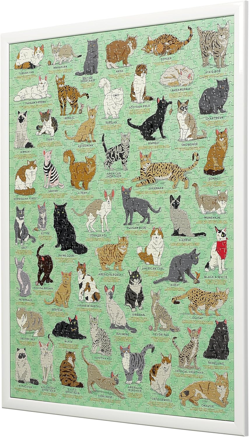 Ridley's Games JIG034 Cat Lovers Jigsaw Puzzle, Multicoloured Cats