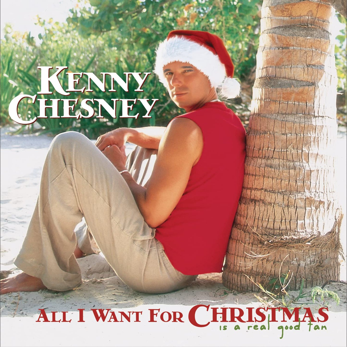 All I Want for Christmas Is a