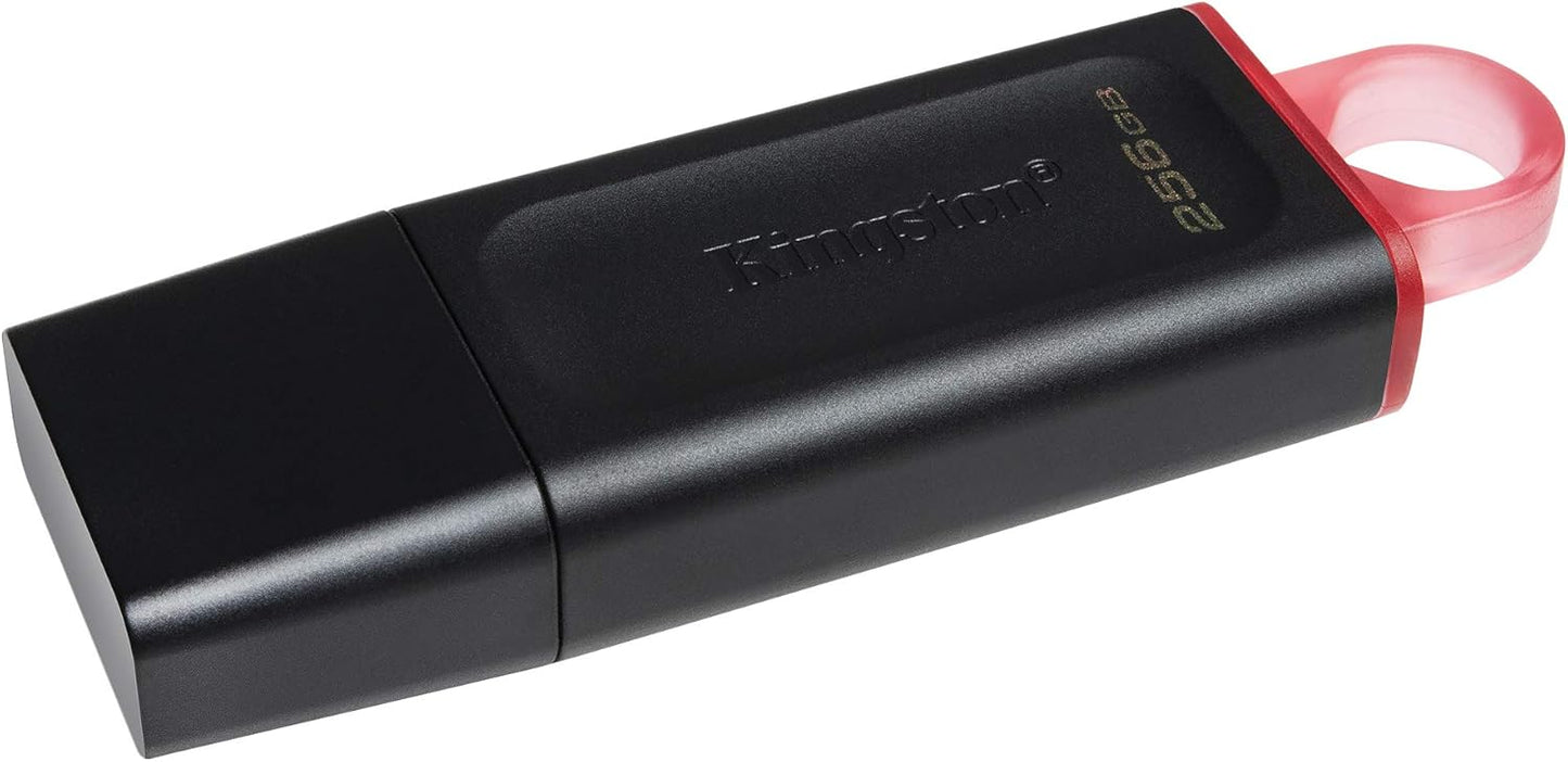 Kingston DataTraveler Exodia DTX/256GB Flash Drive USB 3.2 Gen 1 - with Protective Cap and Keyring in Multiple Colours