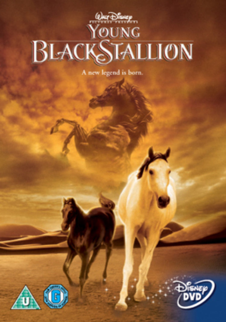 The Young Black Stallion