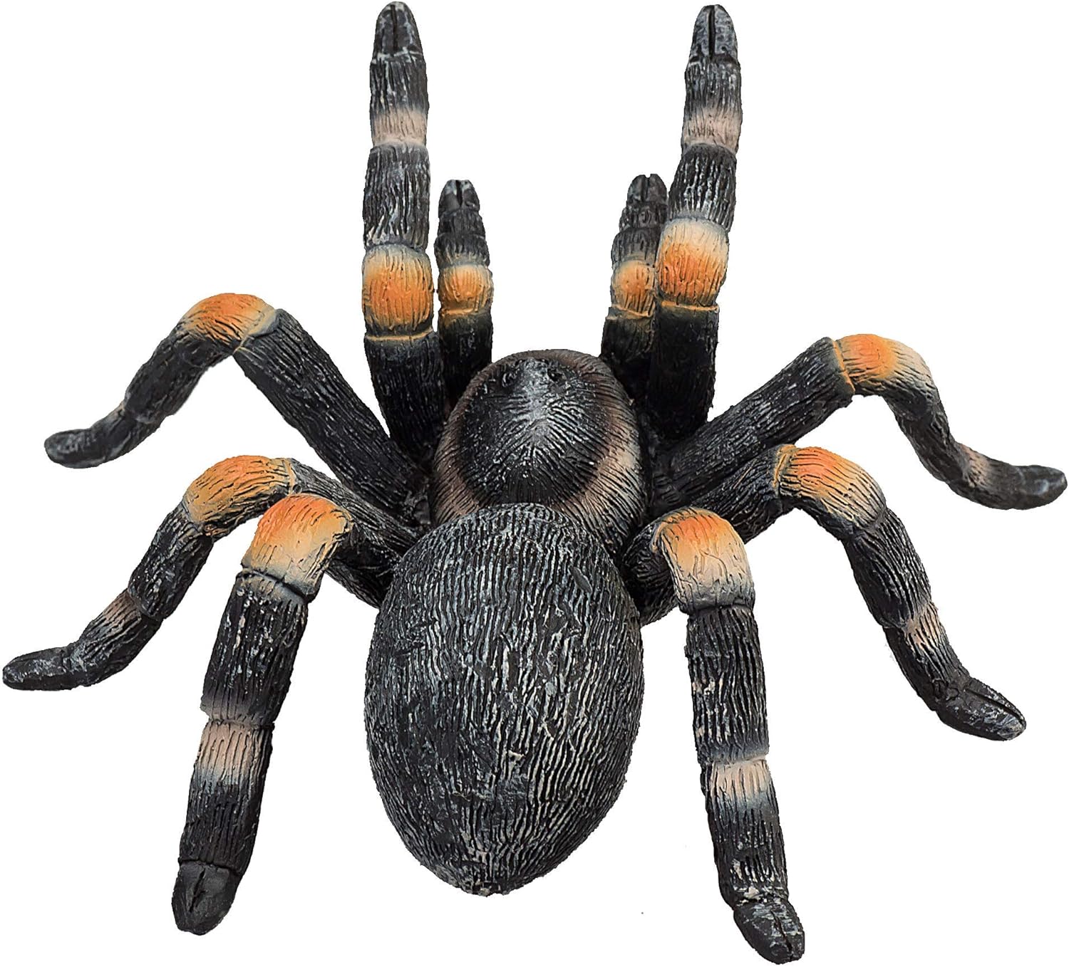 MOJO - Tarantula | Hand-Painted Toy Figure | Wildlife Collection | True to Life & Highly Detailed | Designed in UK