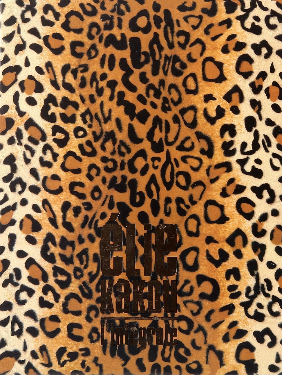 Intégrale