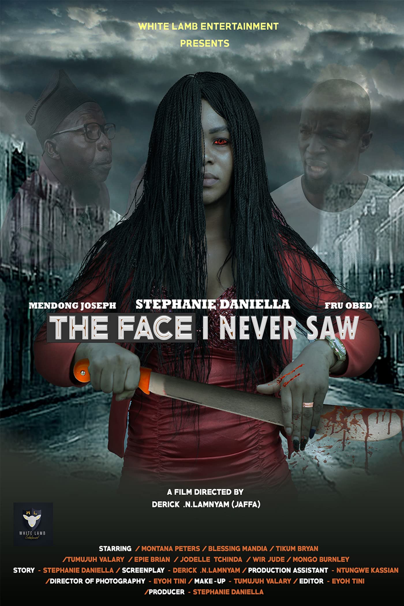 The Face I Never Saw