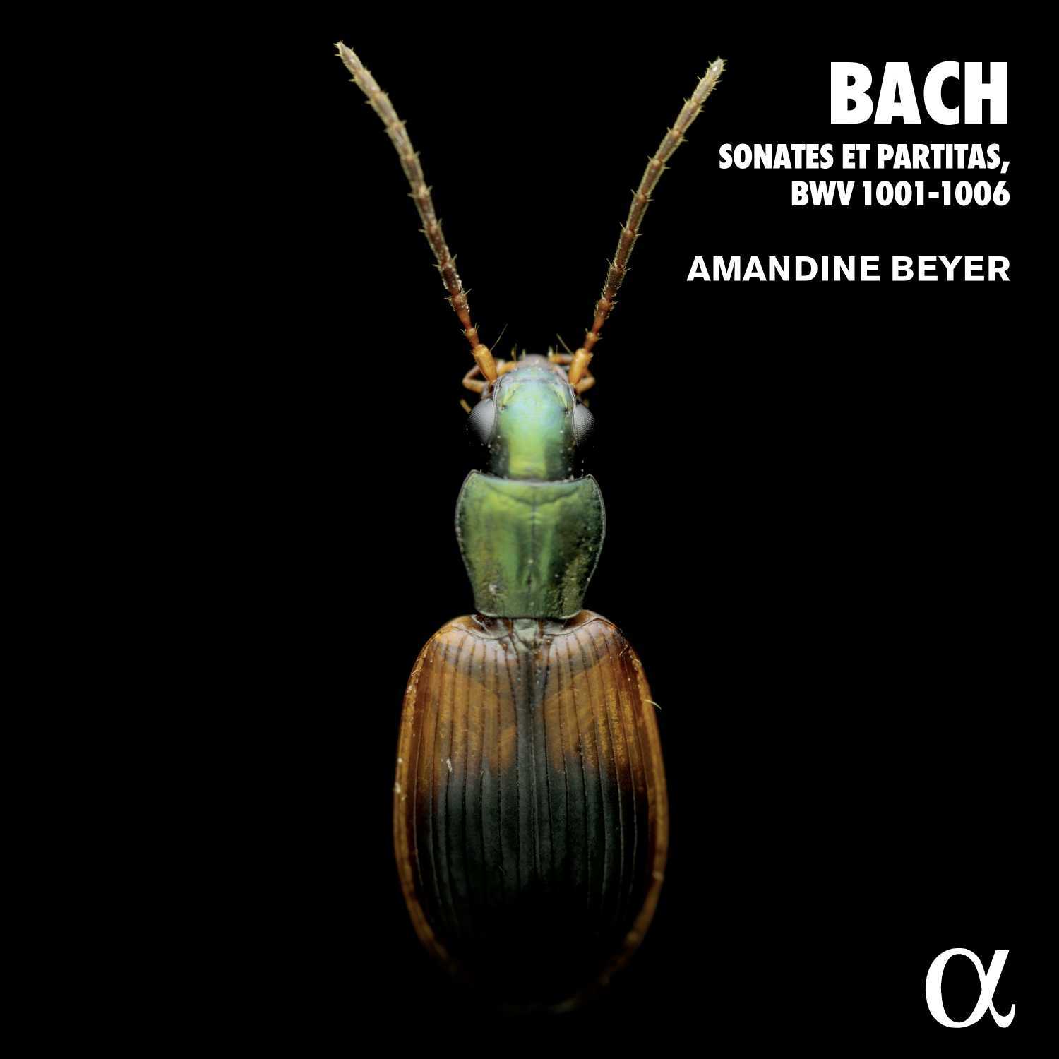 Bach: Sonates Et Partitas, BWV 1001-1006