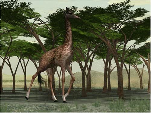 Wild Earth Africa (PC CD