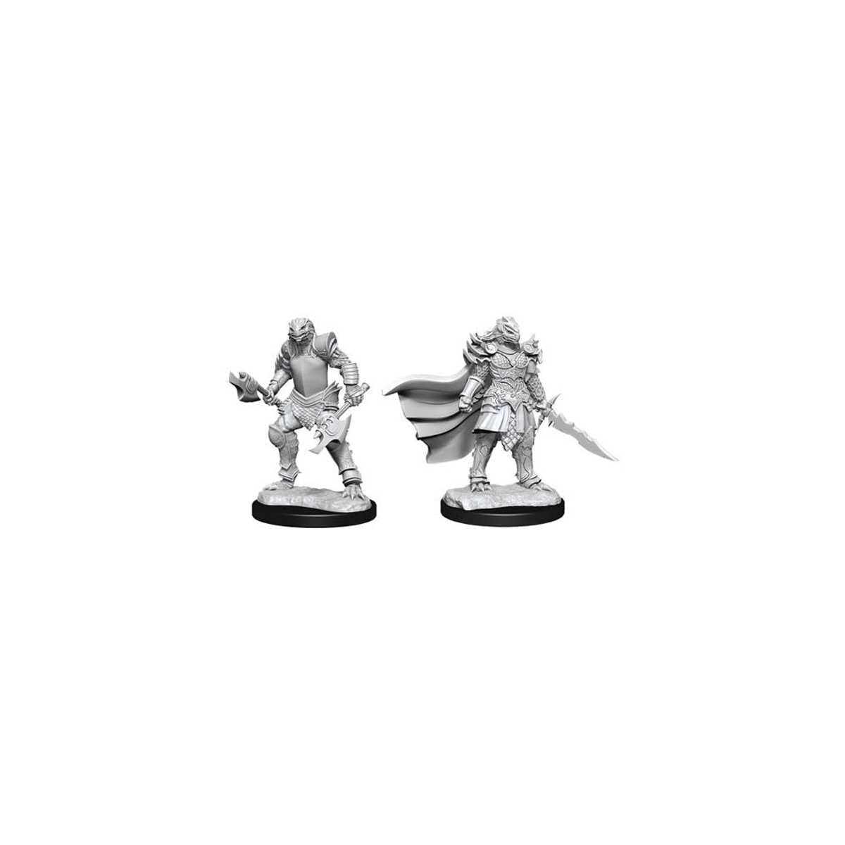 D&D Nolzur's Marvelous Miniatures: Dragonborn Fighter Female