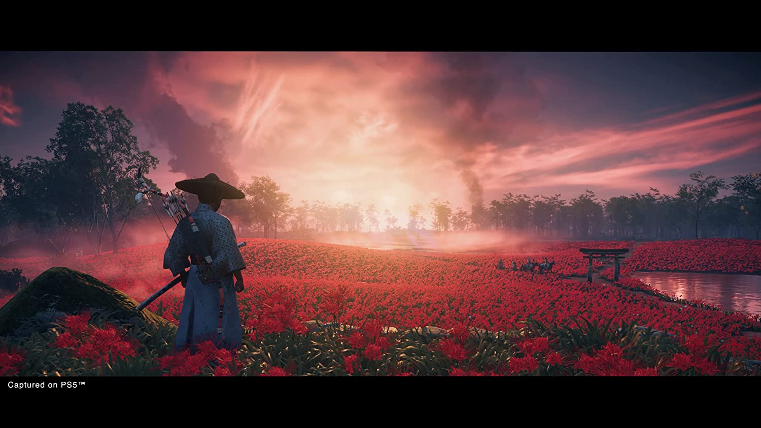 Ghost Of Tsushima: Director's Cut (PS4