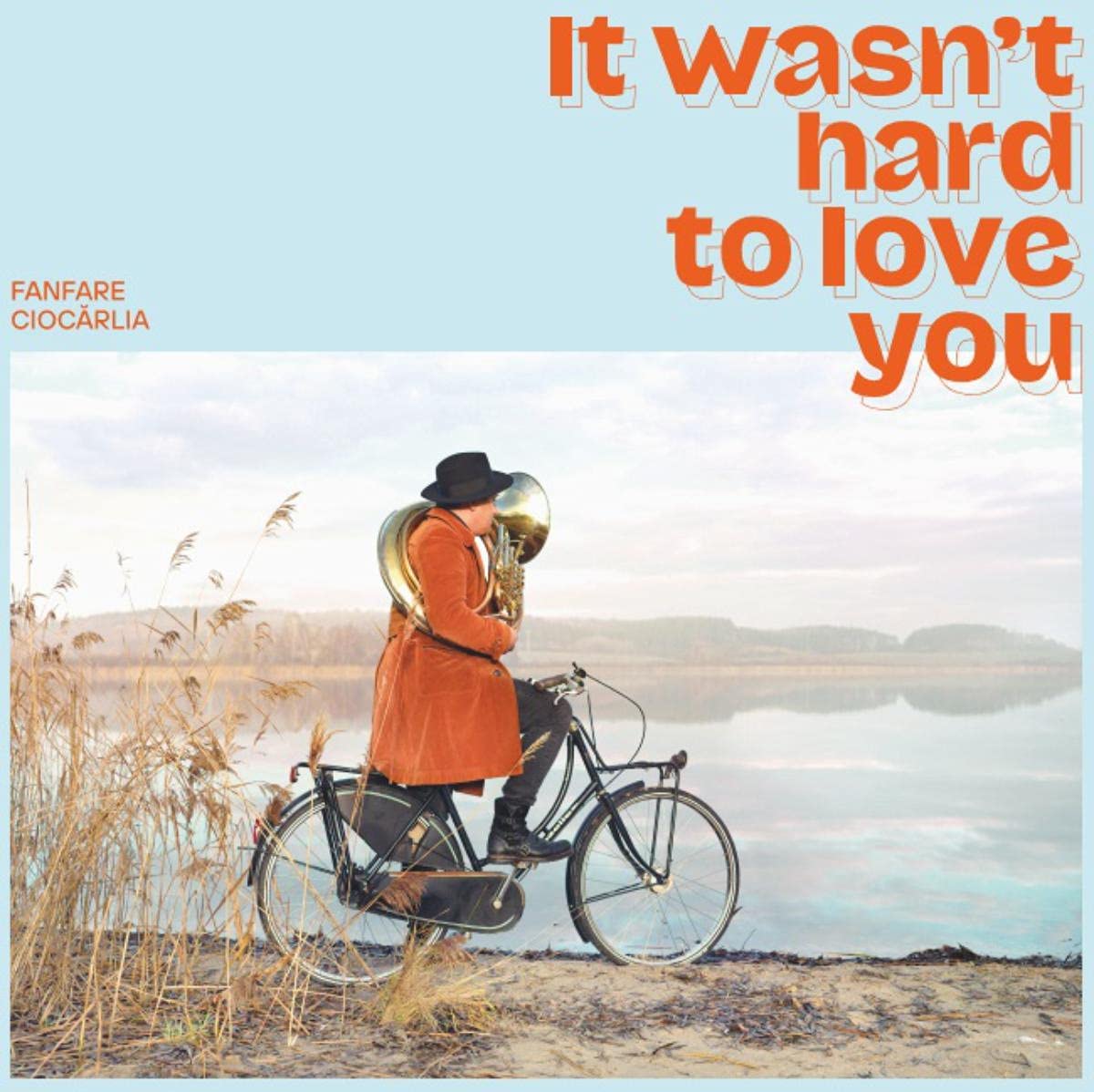 It Wasn't Hard to Love..