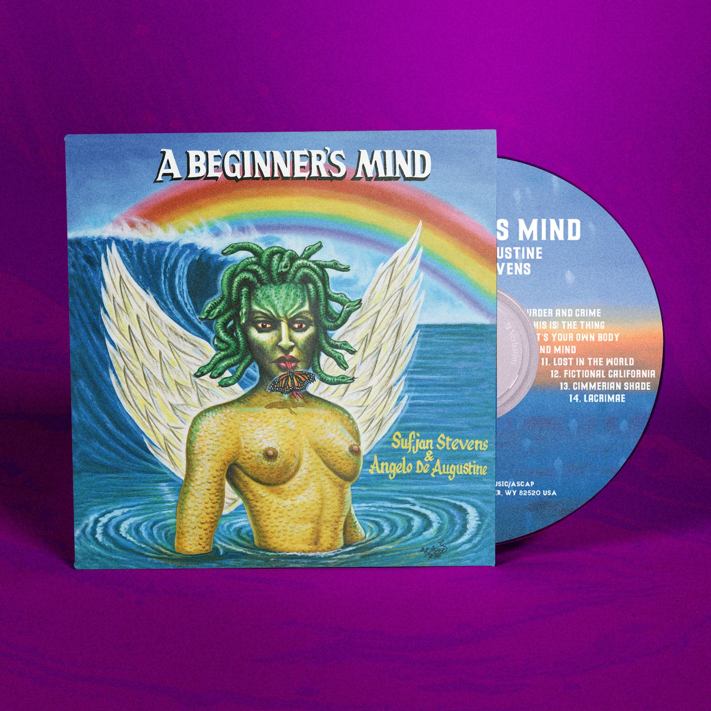 A Beginner's Mind