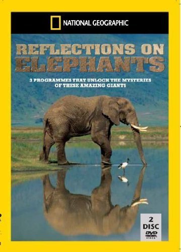 National Geographic Reflections On Elephants