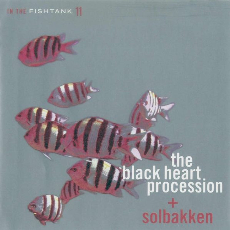 In the Fishtank - Volume 11