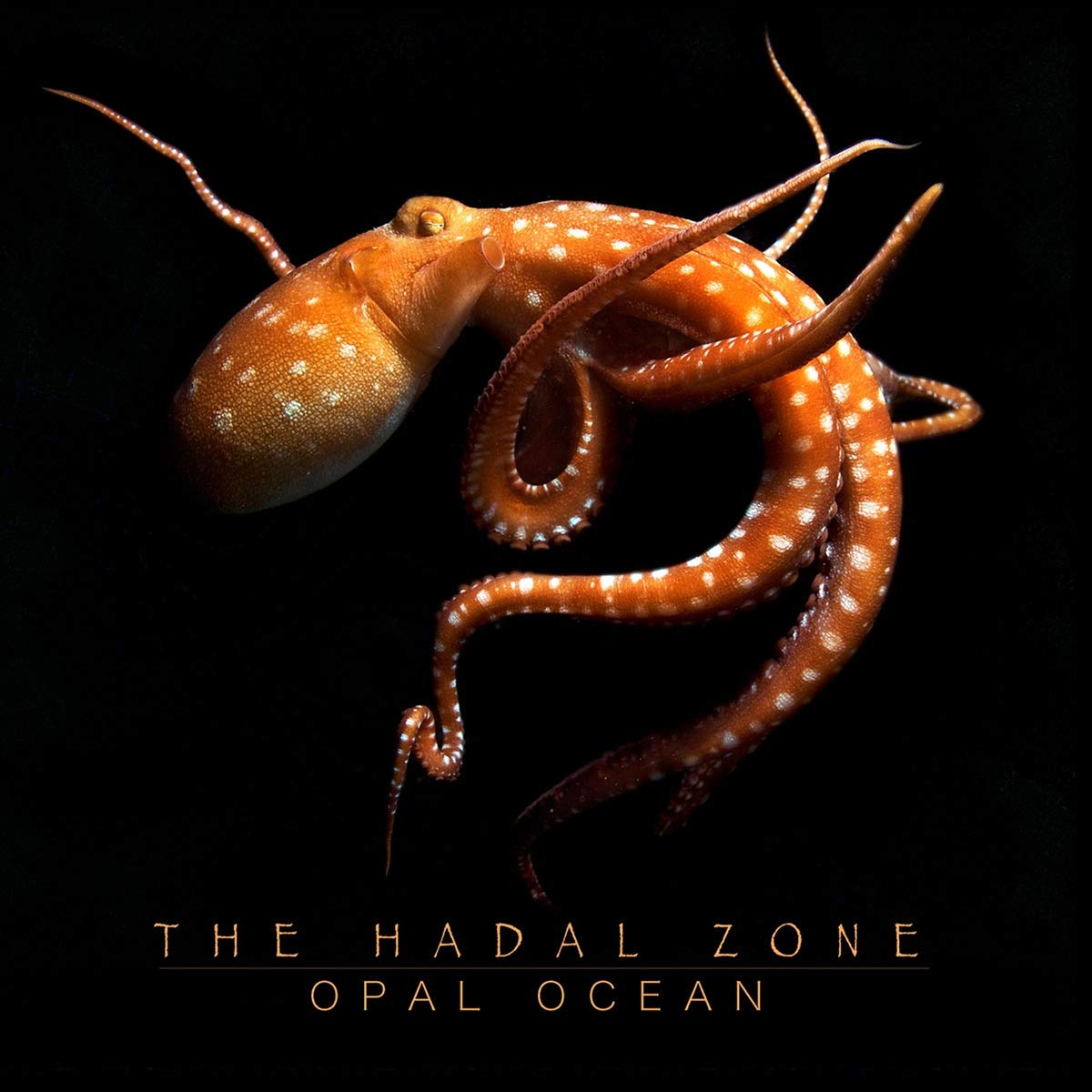 Hadal Zone