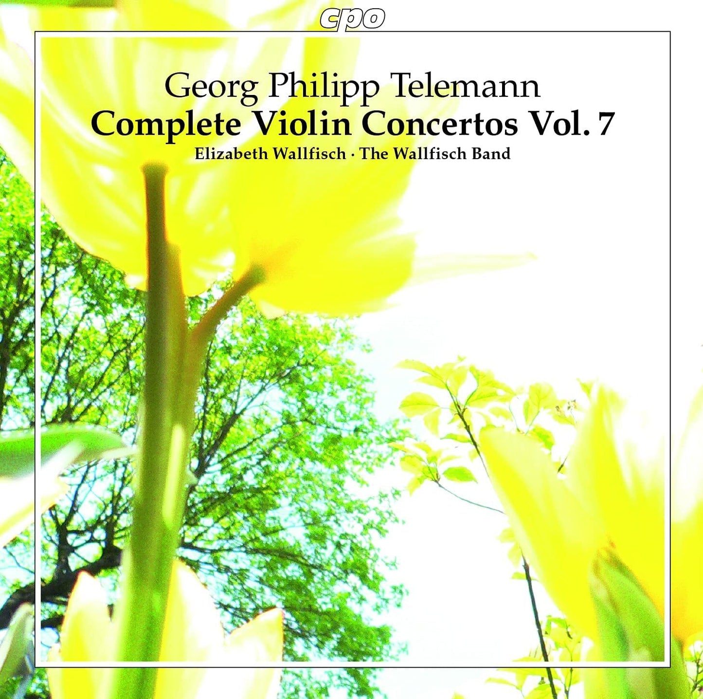 Georg Philipp Telemann: Complete Violin Concertos - Volume 7