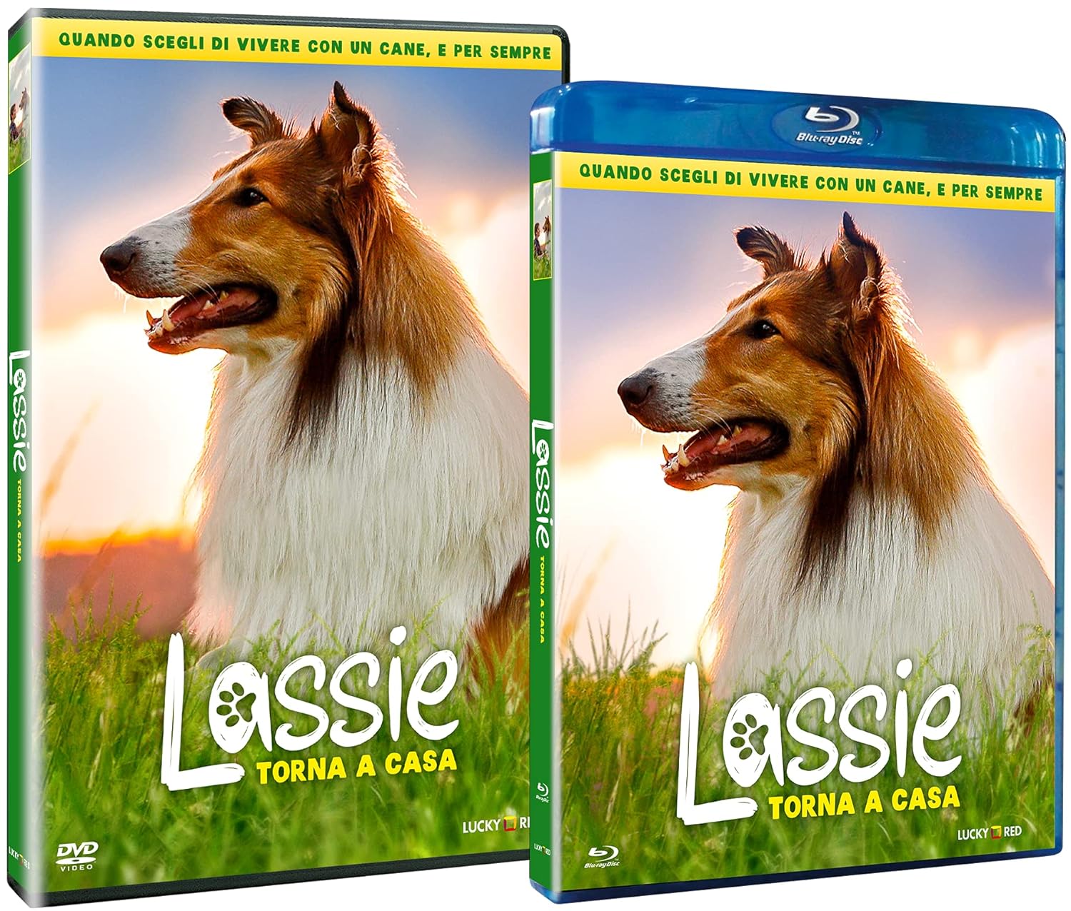 Lassie Torna A Casa