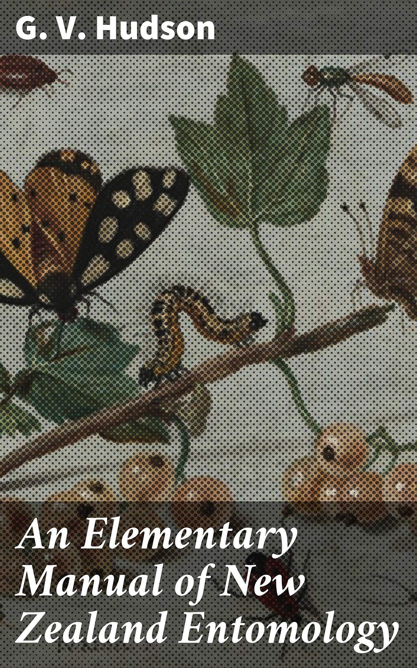 An Elementary Manual of New Zealand Entomology; Being an Introduction to the Study of Our Native Insects