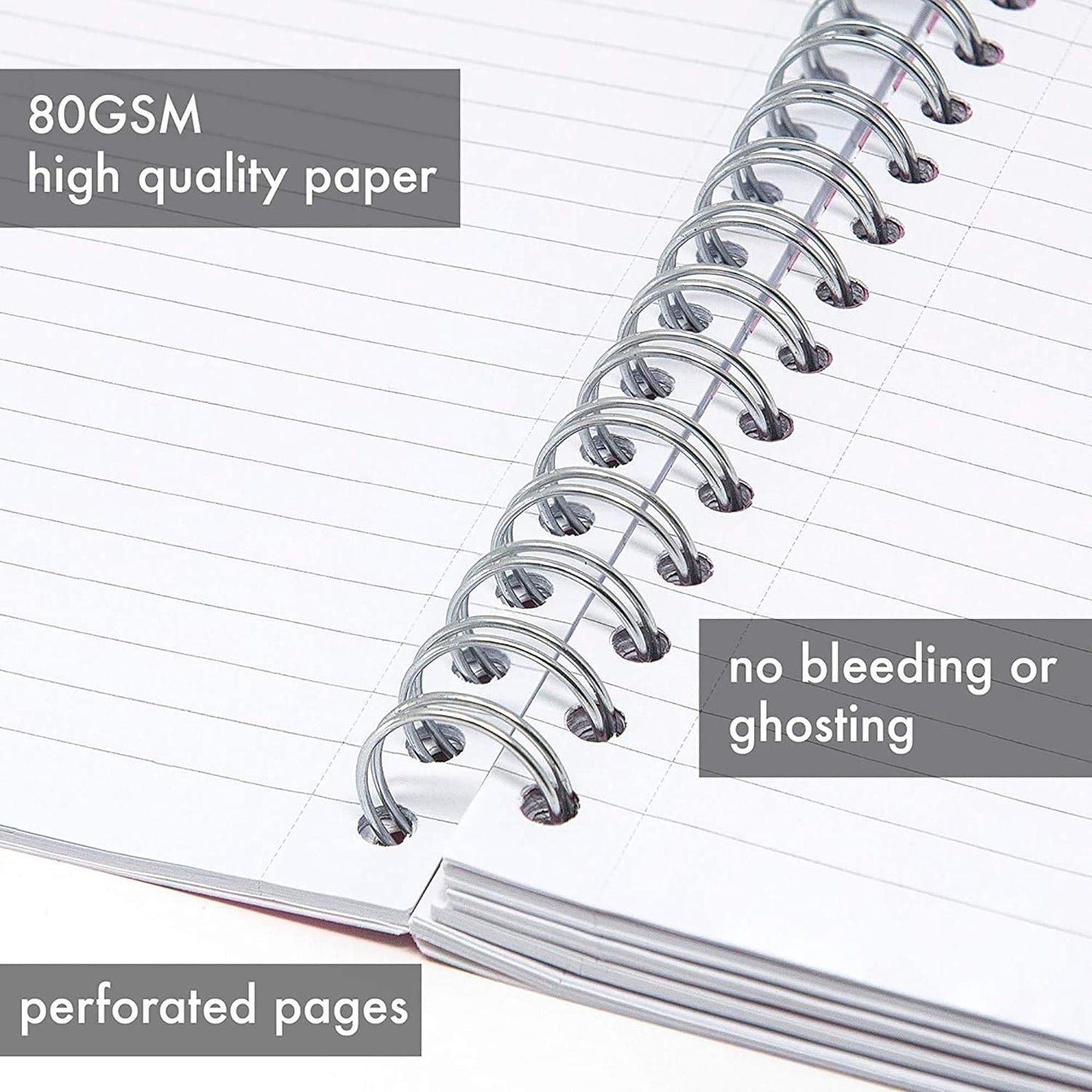 Pukka Pad, B5 Project Notebook with 4 Repositionable Dividers and Elastisized Closure - 200 Pages of 80GSM Paper - 25 x 19cm - Rochelle & Jess, 3-Pack Rochelle & Jess B5 - 7 X 10