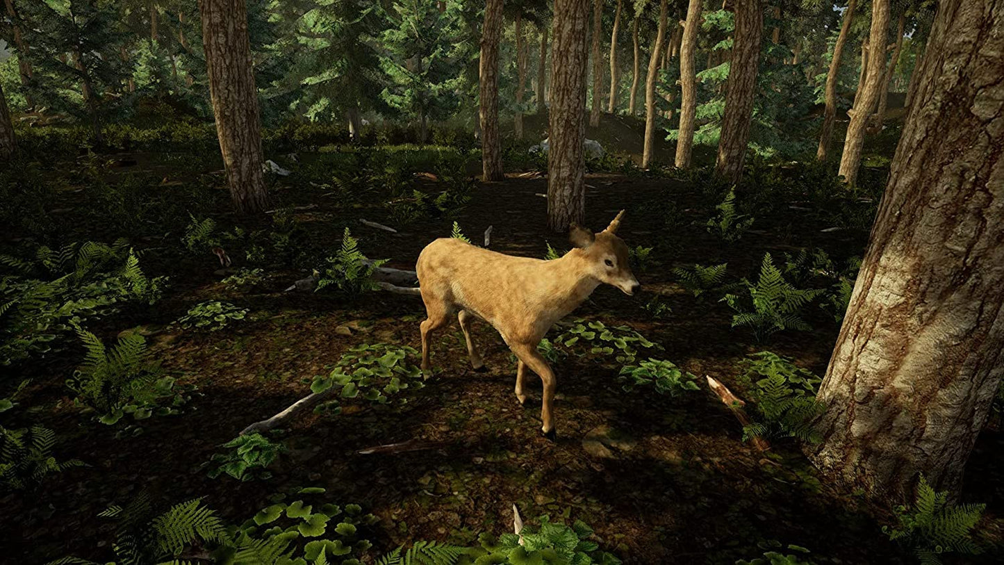 Animal Doctor (PS4) PlayStation 4