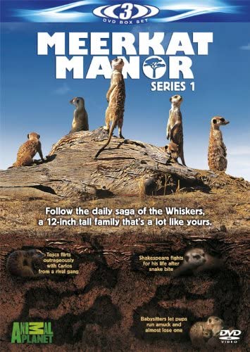 Meerkat Manor: Series 1