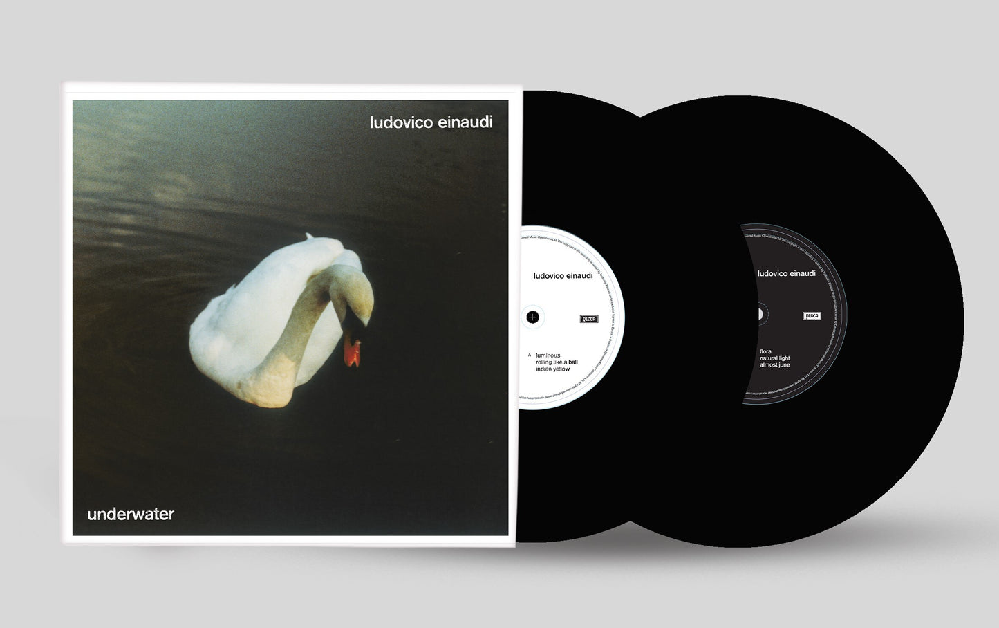 Ludovico Einaudi: Underwater