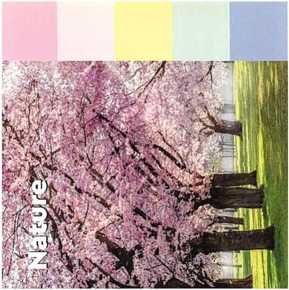 Post-it Recycling Notes Assorted Colours, Pack of 16 Pads, 100 Sheets per Pad, 76 mm x 127 mm, Green, Pink, Blue, Yellow - Self-stick notes made from 100% recycled paper