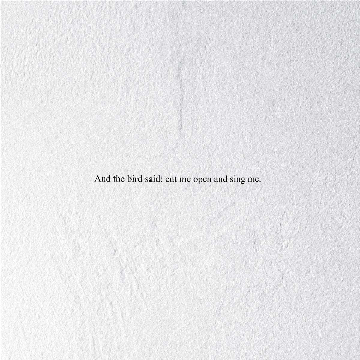And The Bird Said: Cut Me Open And Sing Me (Indie Exclusive, Clear Vinyl)