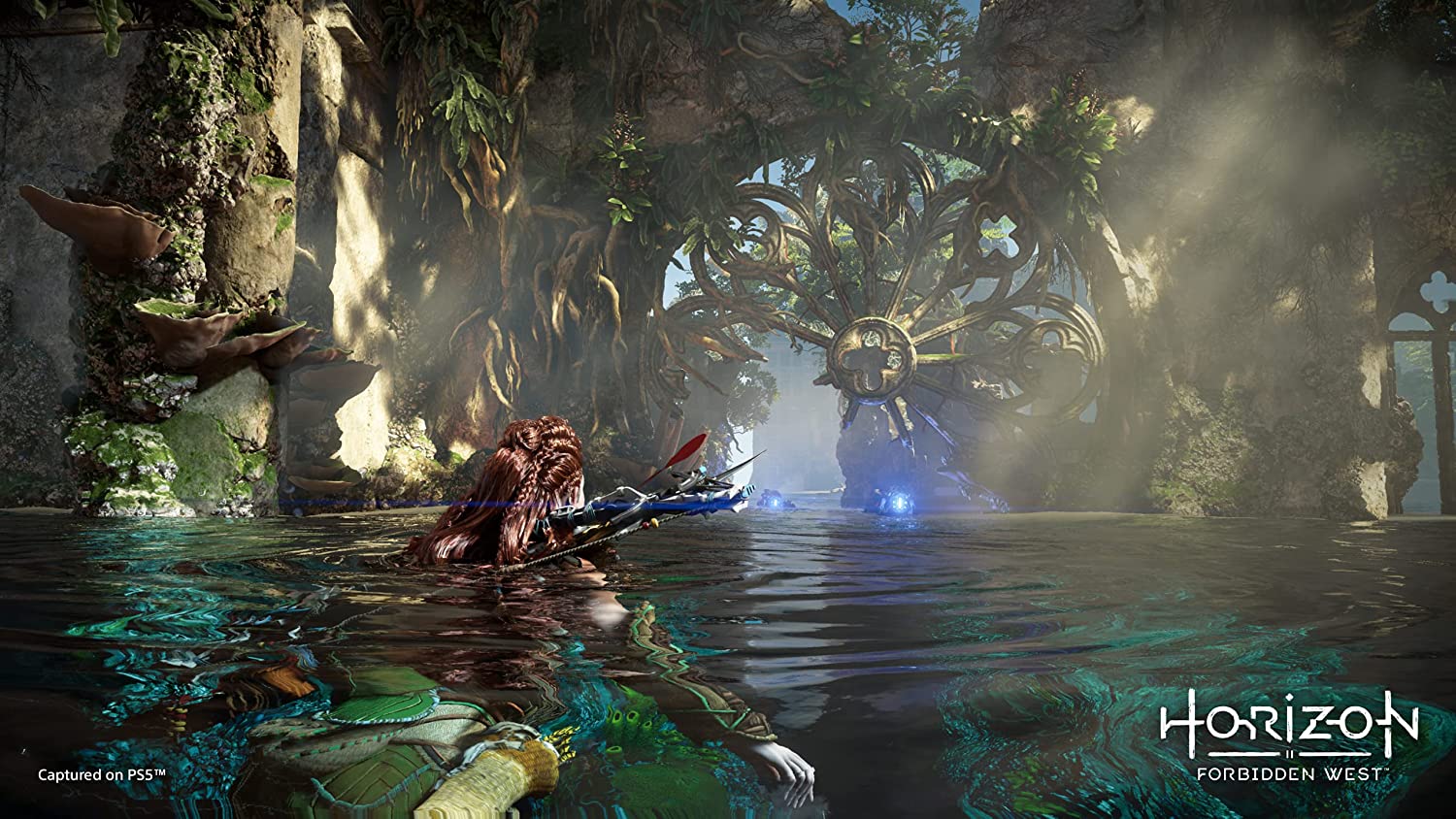 Horizon Forbidden West (PS4